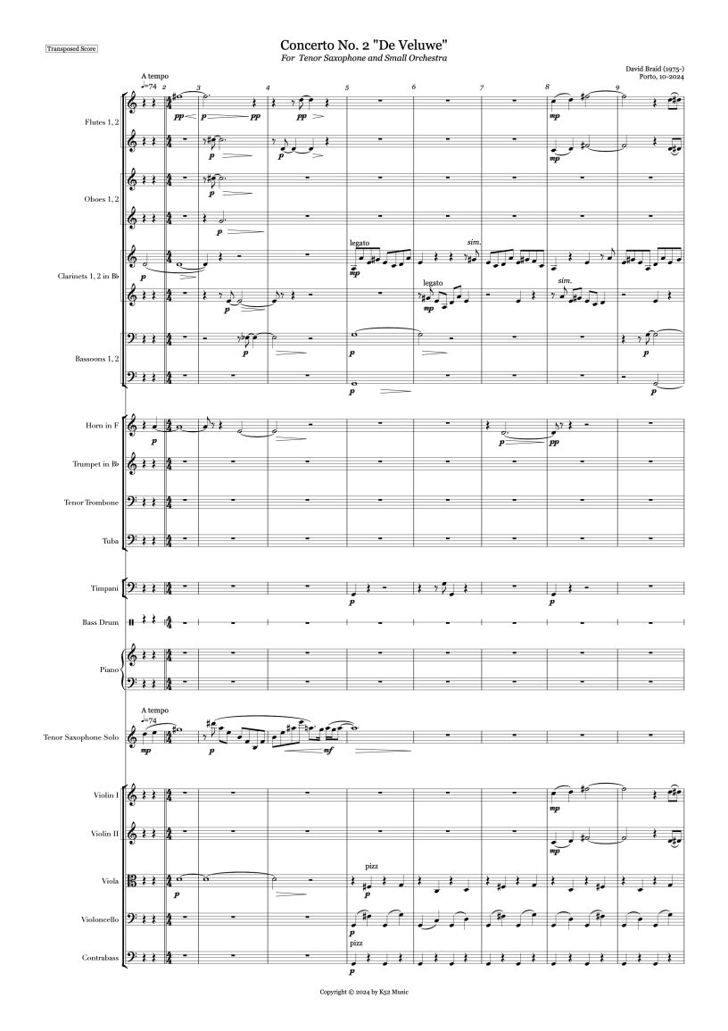 David Braid's Concerto No 2 First Page of Score